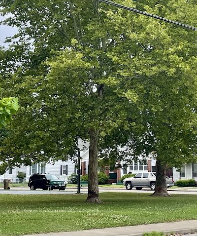 Eleventh Avenue Park - Evansville, IN