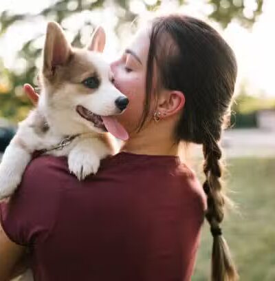 Home of puppies - Evansville, IN