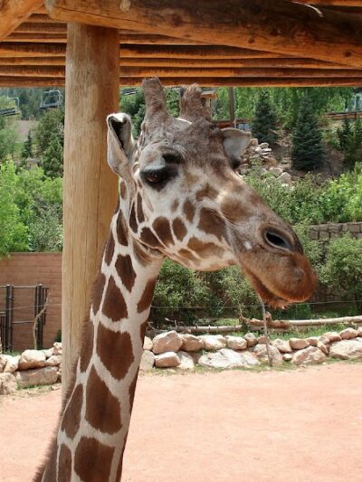 Sixth Avenue Park - Evansville, IN