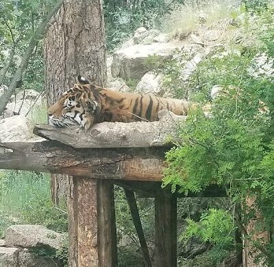 Sixth Avenue Park - Evansville, IN