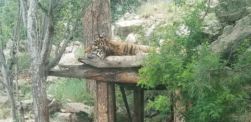 Sixth Avenue Park - Evansville, IN