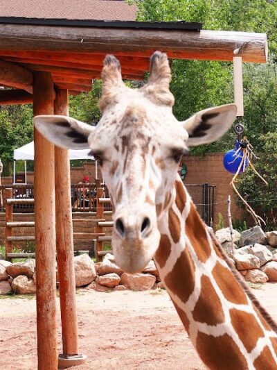 Sixth Avenue Park - Evansville, IN