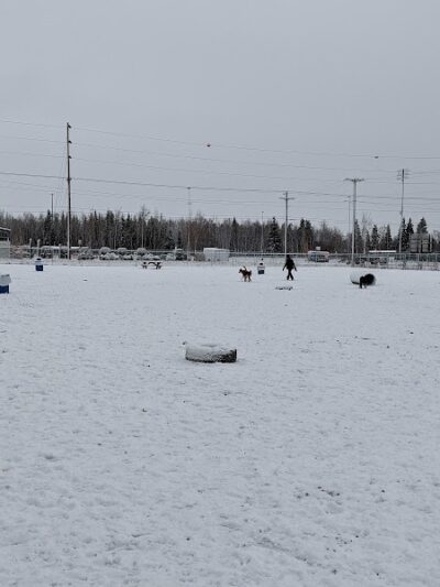 Fairbanks Dog Park 2nd Ave - Fairbanks, AK