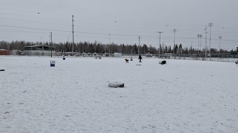 Fairbanks Dog Park 2nd Ave - Fairbanks, AK