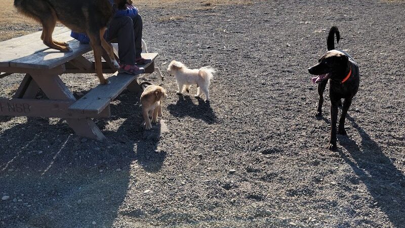 Fairbanks Dog Park 2nd Ave - Fairbanks, AK