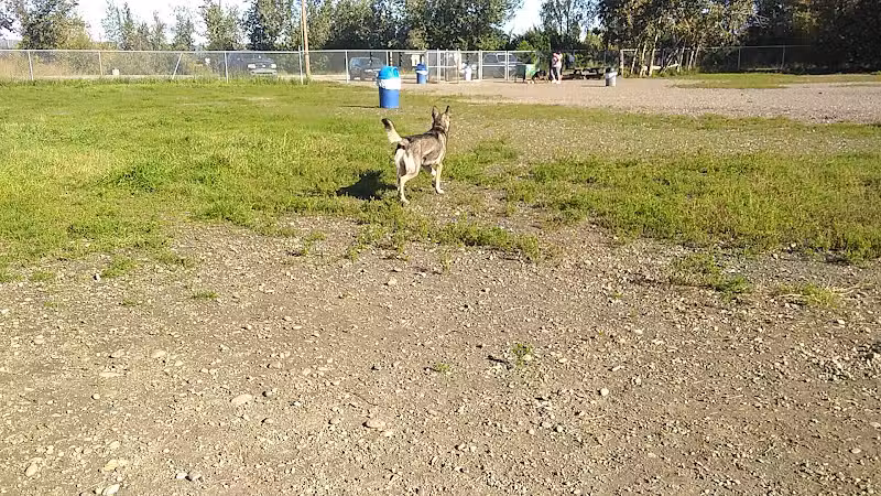 Fairbanks Dog Park 2nd Ave - Fairbanks, AK