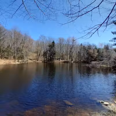 Brett Woods Open Space - Fairfield, CT