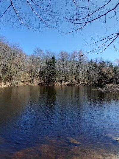 Brett Woods Open Space - Fairfield, CT