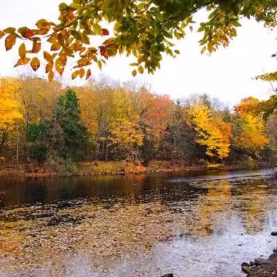 Brett Woods Open Space - Fairfield, CT