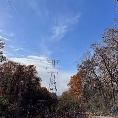 Brett Woods Open Space - Fairfield, CT