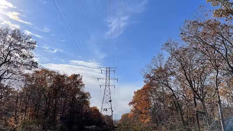 Brett Woods Open Space - Fairfield, CT