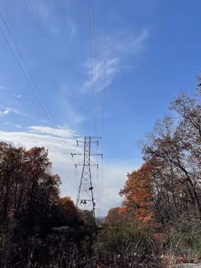 Brett Woods Open Space - Fairfield, CT