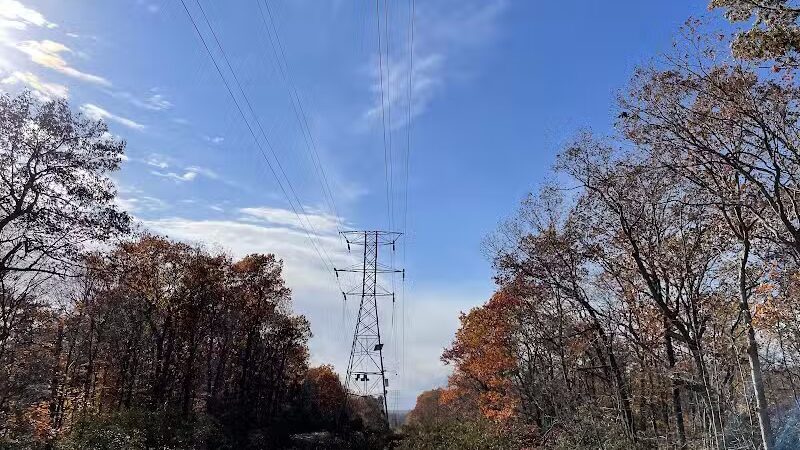 Brett Woods Open Space - Fairfield, CT
