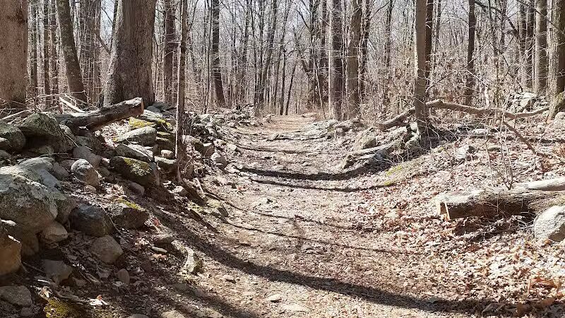 Brett Woods Open Space - Fairfield, CT