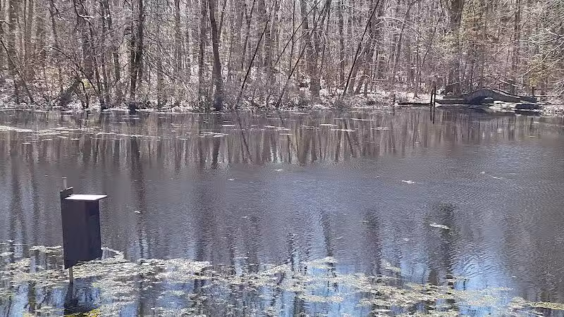 Connecticut Audubon Society - Fairfield, CT