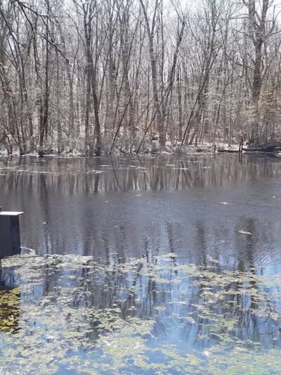 Connecticut Audubon Society - Fairfield, CT