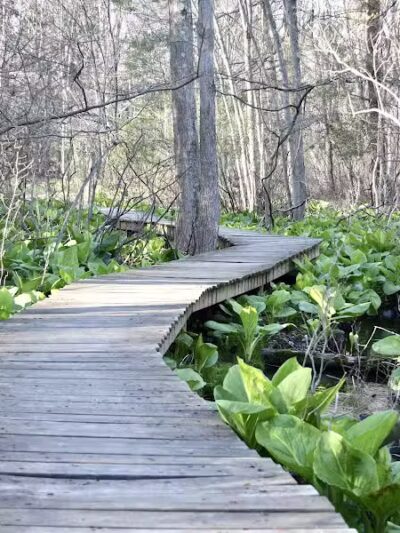 Connecticut Audubon Society - Fairfield, CT