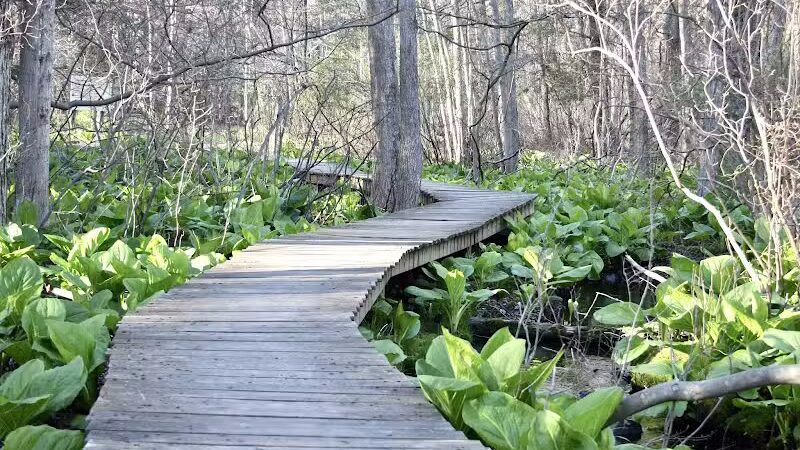Connecticut Audubon Society - Fairfield, CT