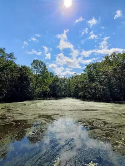 Connecticut Audubon Society - Fairfield, CT