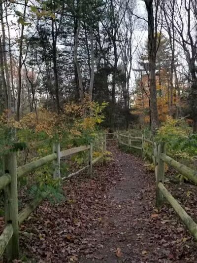Connecticut Audubon Society - Fairfield, CT