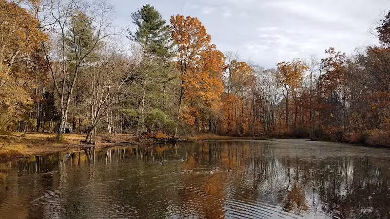 Connecticut Audubon Society - Fairfield, CT
