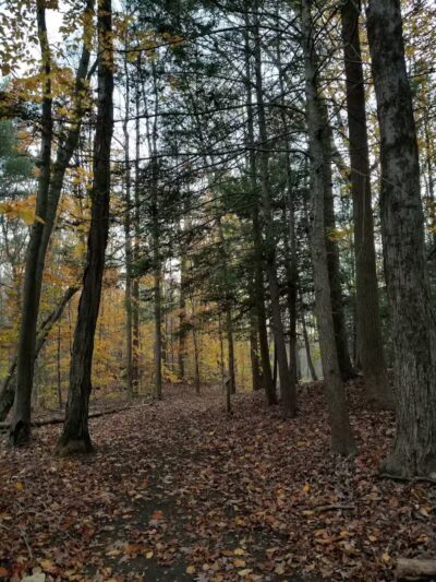 Connecticut Audubon Society - Fairfield, CT