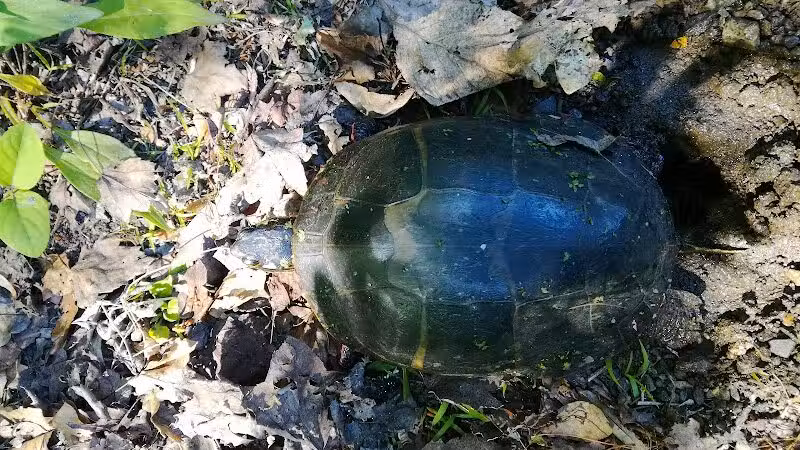Connecticut Audubon Society - Fairfield, CT