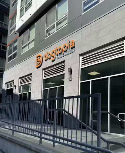 Dogtopia of Fairfield - Fairfield, CT