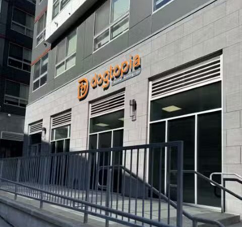 Dogtopia of Fairfield - Fairfield, CT