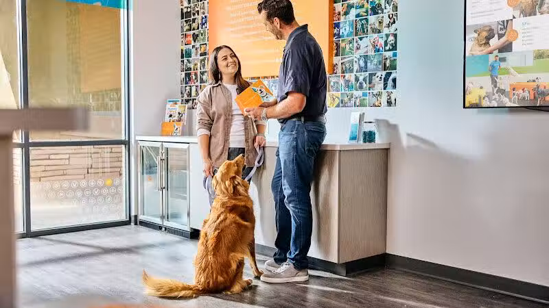 Dogtopia of Fairfield - Fairfield, CT
