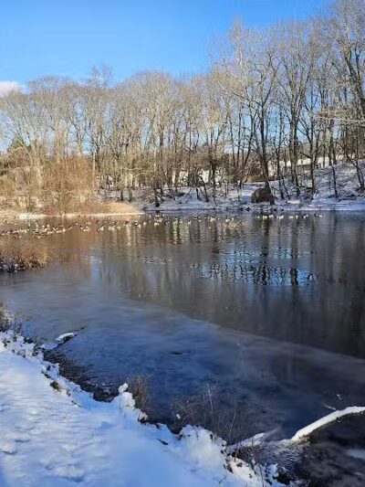 Flower House Drive Open Space - Fairfield, CT