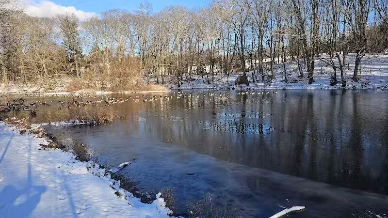 Flower House Drive Open Space - Fairfield, CT
