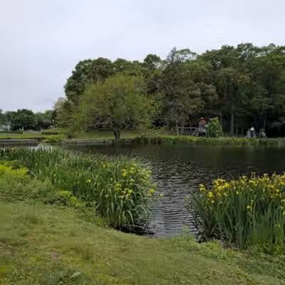 Gould Manor Park - Fairfield, CT