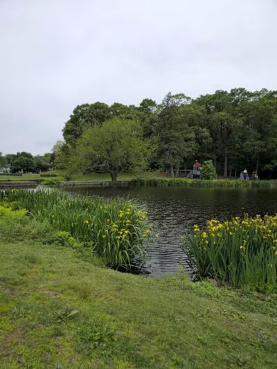 Gould Manor Park - Fairfield, CT