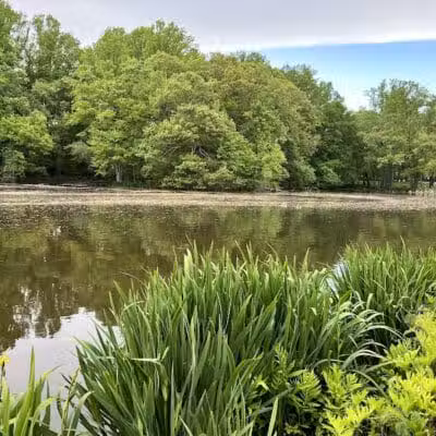 Gould Manor Park - Fairfield, CT