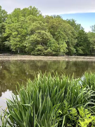 Gould Manor Park - Fairfield, CT