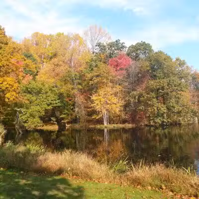 Gould Manor Park - Fairfield, CT