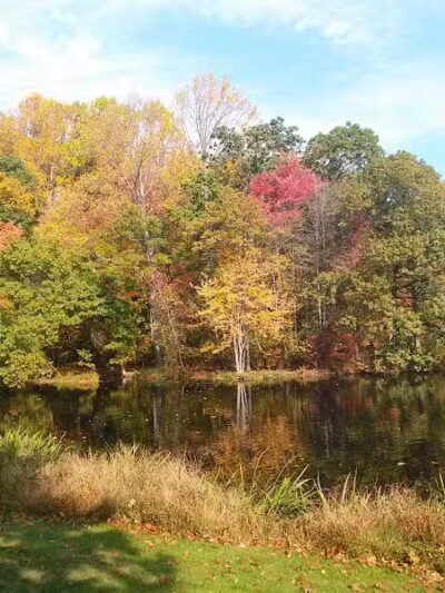 Gould Manor Park - Fairfield, CT