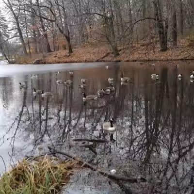 Gould Manor Park - Fairfield, CT