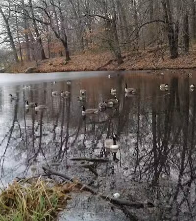 Gould Manor Park - Fairfield, CT
