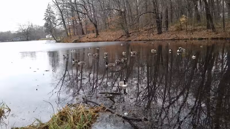 Gould Manor Park - Fairfield, CT