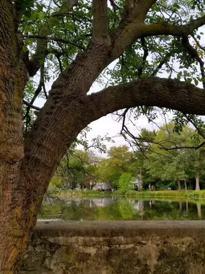 Gould Manor Park - Fairfield, CT