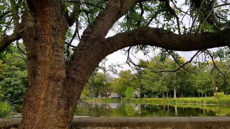 Gould Manor Park - Fairfield, CT