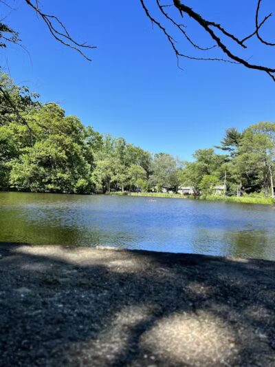 Gould Manor Park - Fairfield, CT