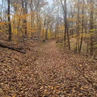 Grace Richardson Conservation Area - Fairfield, CT