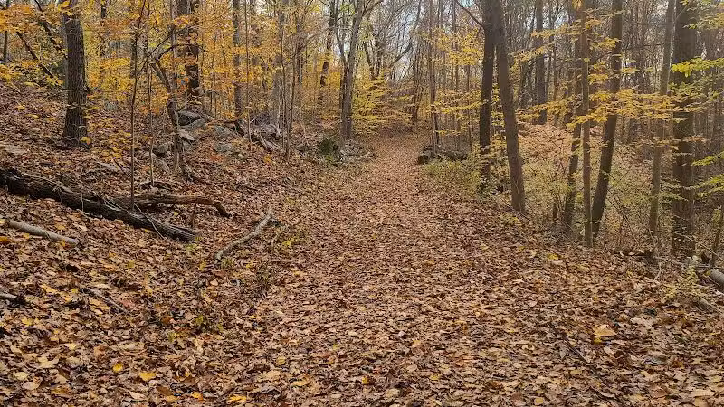 Grace Richardson Conservation Area - Fairfield, CT