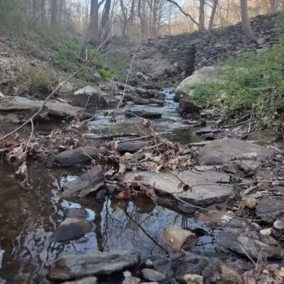 Grace Richardson Conservation Area - Fairfield, CT