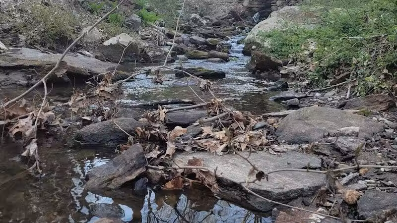 Grace Richardson Conservation Area - Fairfield, CT