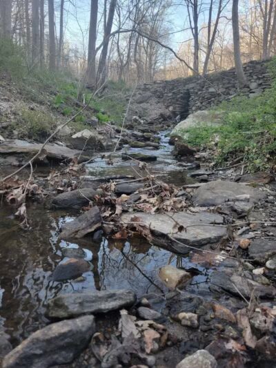 Grace Richardson Conservation Area - Fairfield, CT