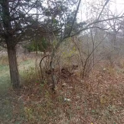 Grace Richardson Conservation Area - Fairfield, CT